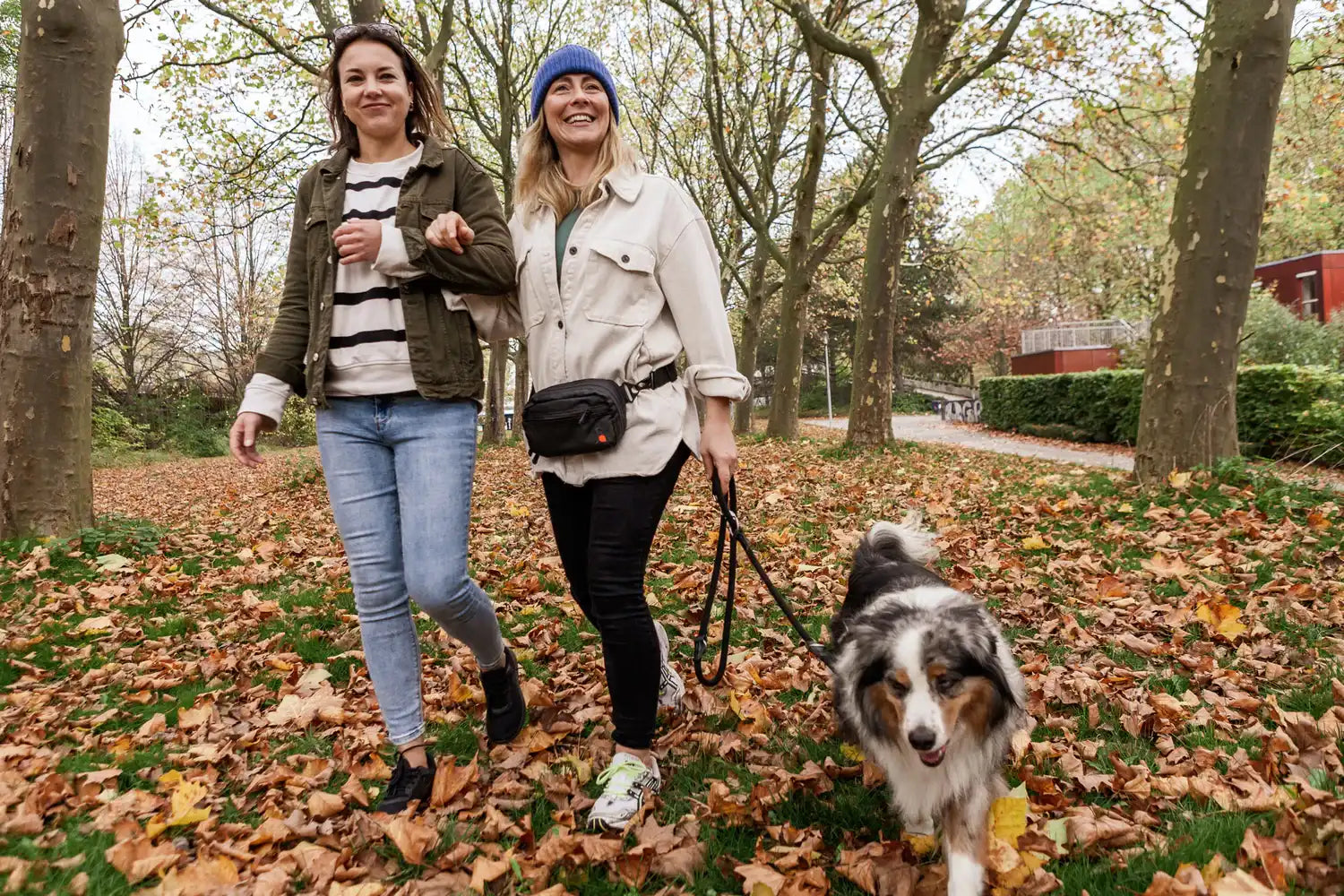 JuBi BAG - Hunde Gassitasche