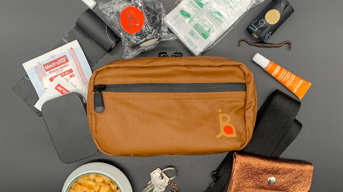 Gassitasche, Leckerlis, Erste Hilfe Set, Schüssel, Mobiltelefon, Geldbeutel, Hundekotbeutel, Handcreme